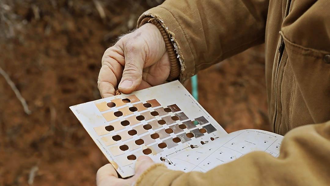 person checking soil color on Munsell chart